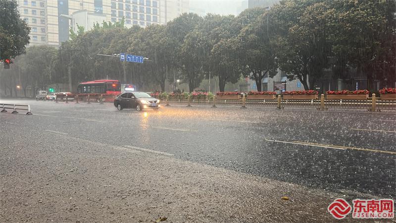 今日08时许，福州五四路降雨实况。东南网记者 余跃 摄.jpg