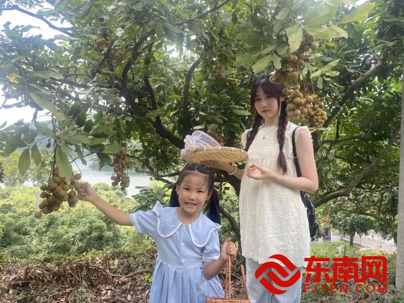 龙眼节7.jpg