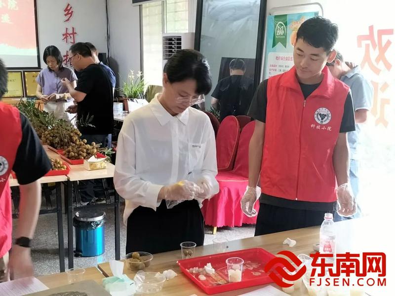 龙眼节3.jpg