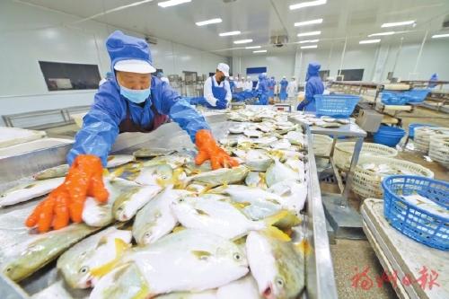 向新向外向更优 福清经济社会发展成绩亮眼,全国排名稳步提升