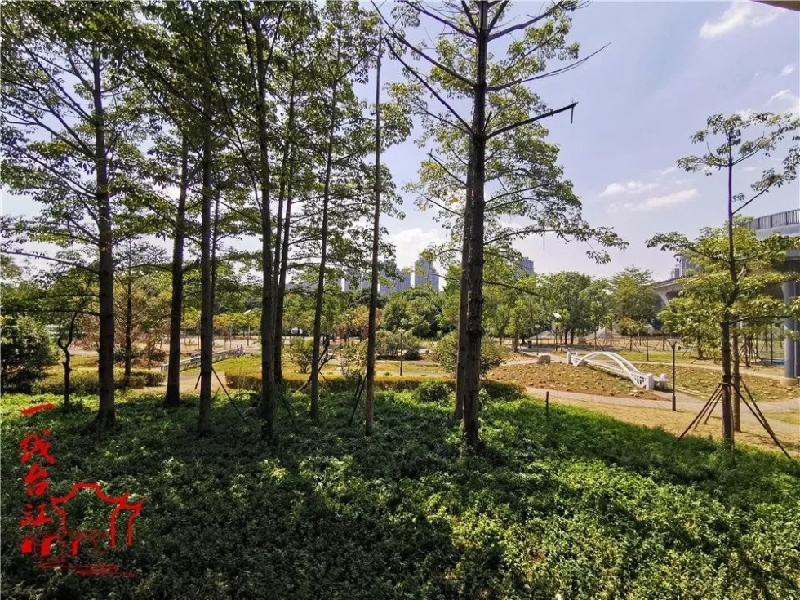 惊艳！福州闽江两岸将添新网红景观！