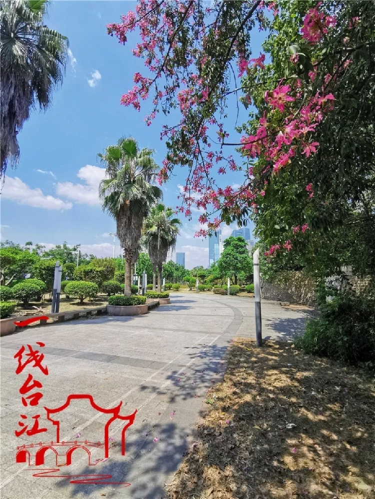 惊艳！福州闽江两岸将添新网红景观！