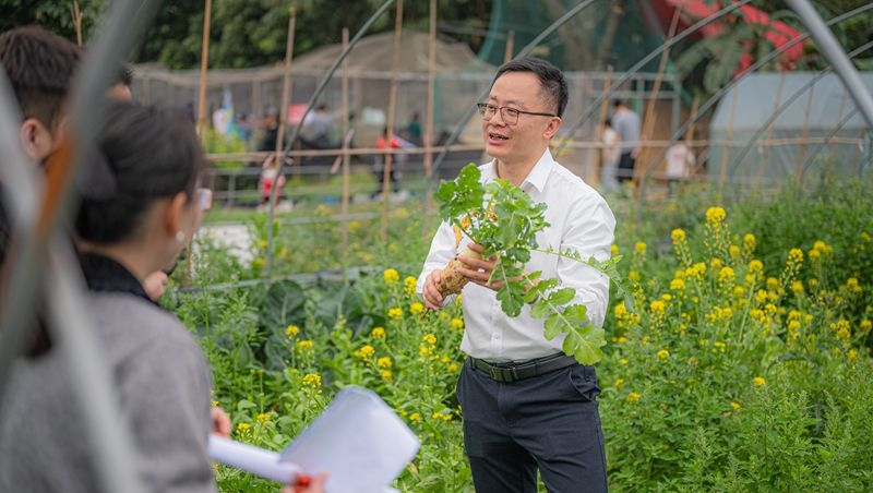 闽侯廷坪乡将深山特产“搬”到平原乡镇 山货下山带火村民生活