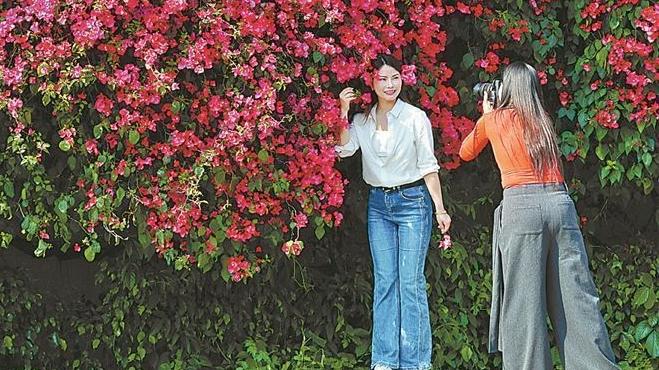 厦门：红妆满屏