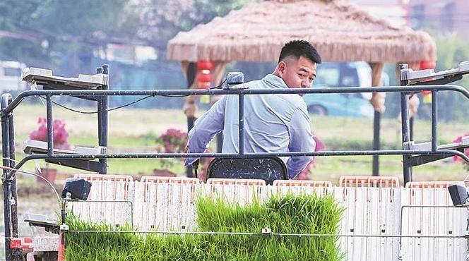 厦门集美灌口上演“科技春耕图”