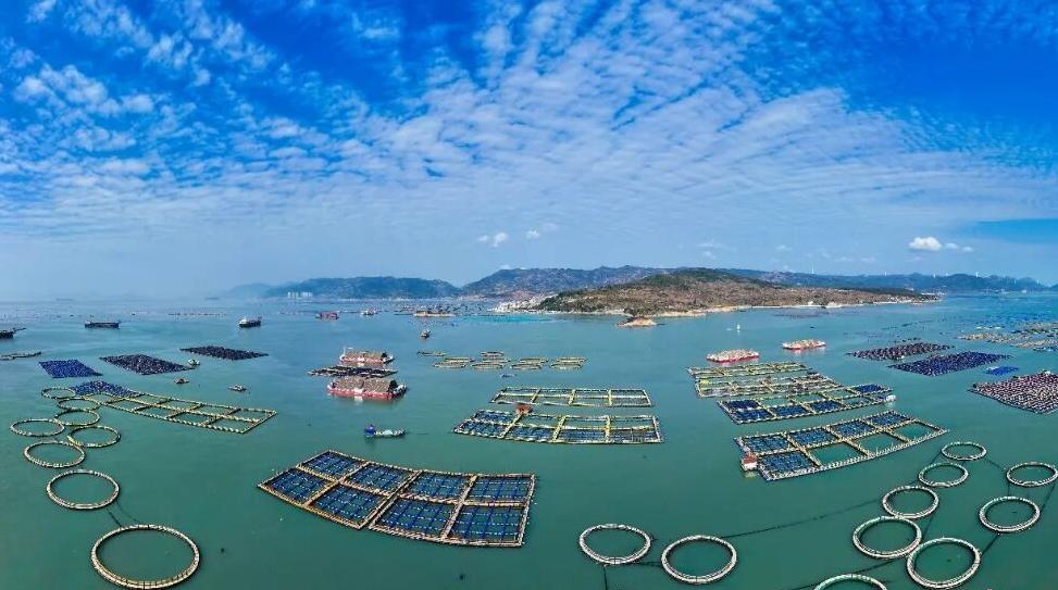 乡村振兴，福州​精准答题赢高分