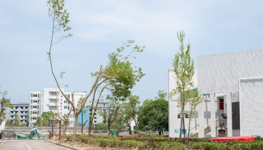 湖北黄冈：龙卷风灾后清理修复持续推进