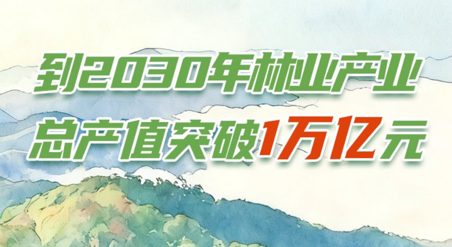 “十五五”抓重点 | 到2030年林业产业总产值突破1万亿元