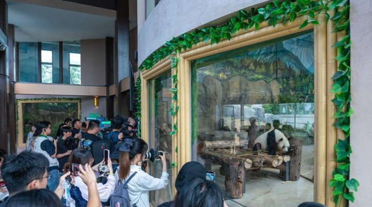 “夏一站，来福州” 多彩研学品读榕城