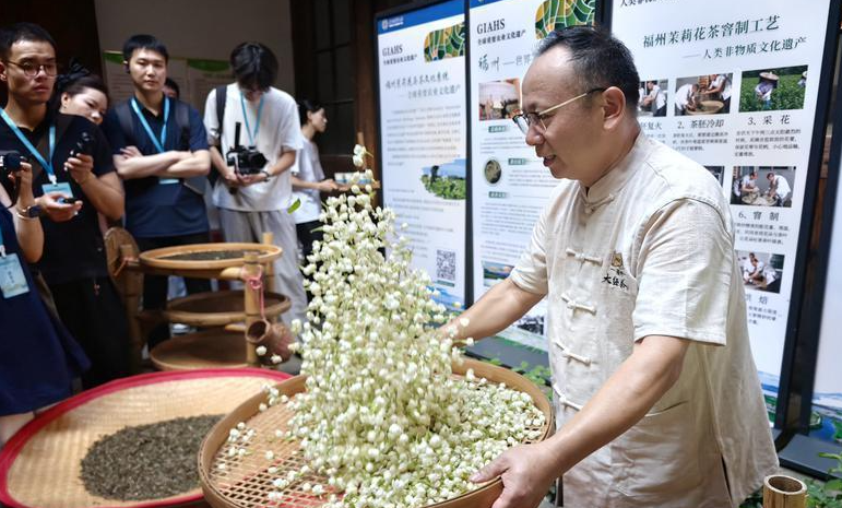活力中国调研行｜榕城：守好闽都文脉 激活山海烟火