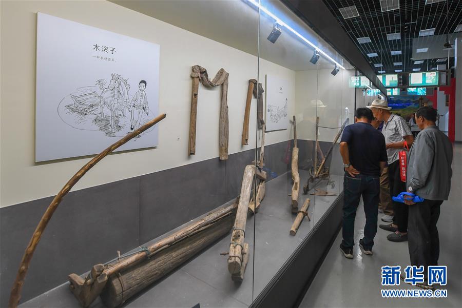 （社会）（1）长春：逛农博会领略关东农耕文化