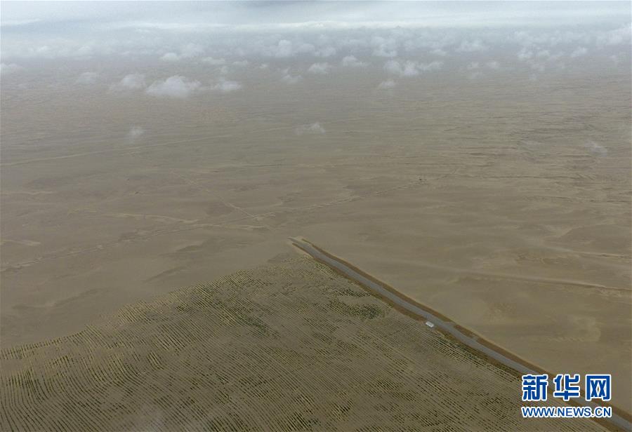 （环境）（1）雨后大漠景如画