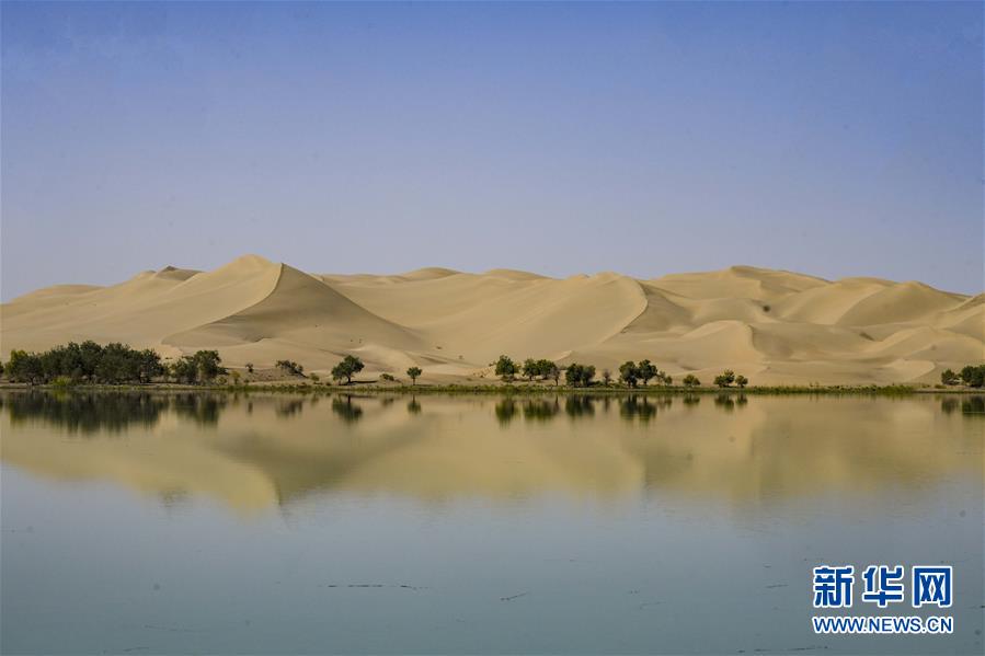 （环境）（1）罗布湖秋韵