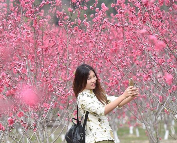 德化南埕：春至桃花岛