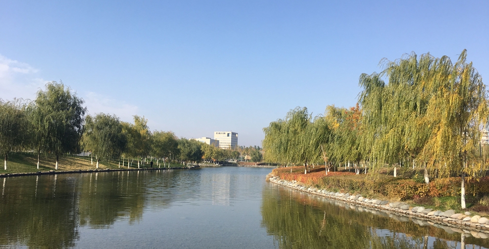 昌吉市一处公园美景