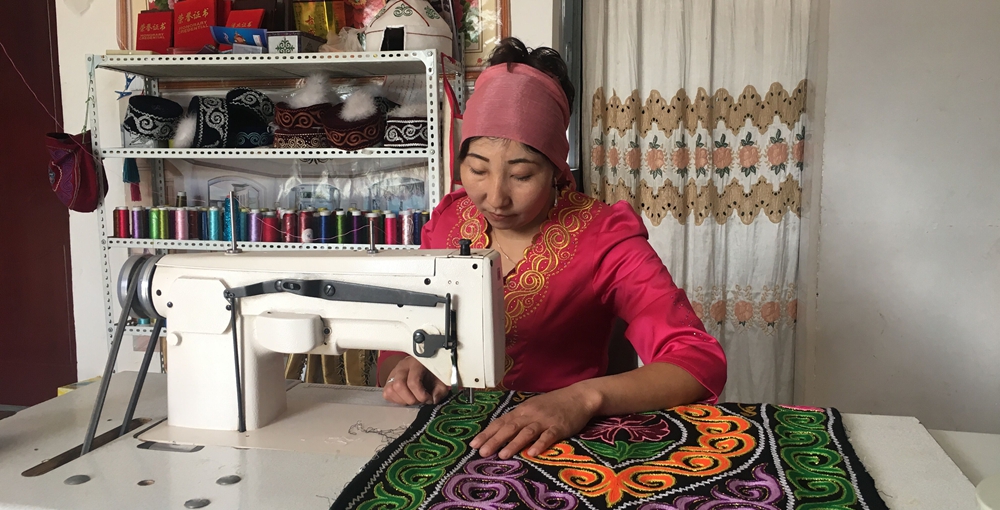 少数民族妇女就业