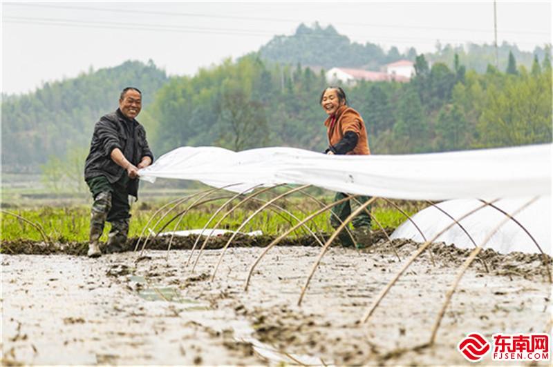 农户正在加盖薄膜 肖开涯 摄 (2).jpg