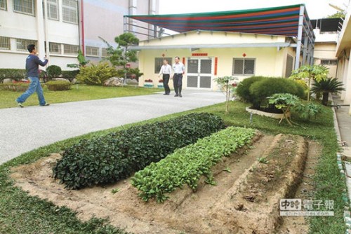 陈水扁房舍前的菜园/《中国时报》