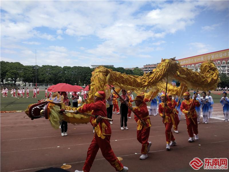 福建师大附小舞龙表演亮相学校运动会 东南网记者张立庆摄.jpg