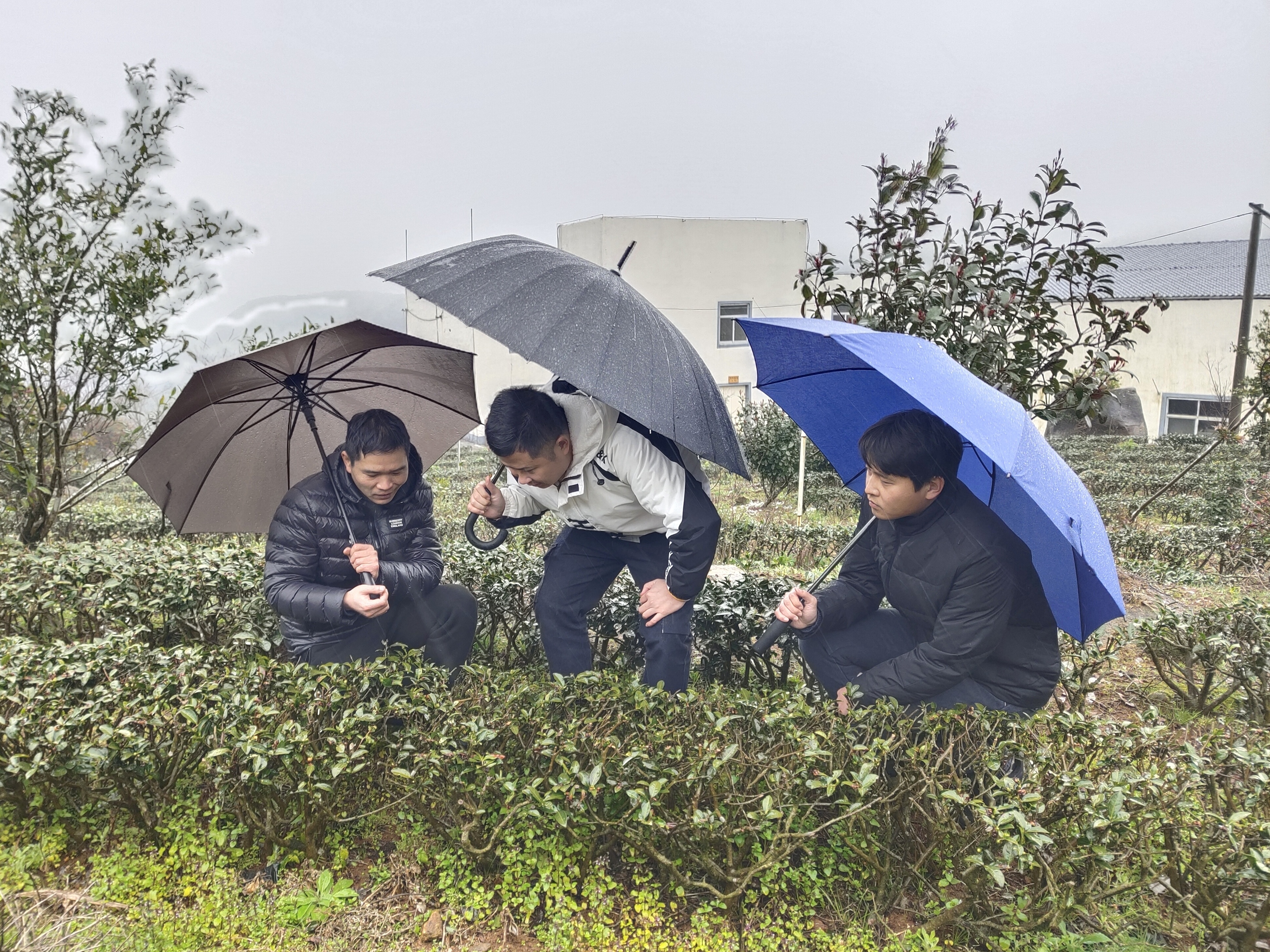 东张镇组织力量深入田间地头服务农企