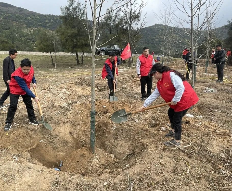 志愿者在南岭镇义务植树