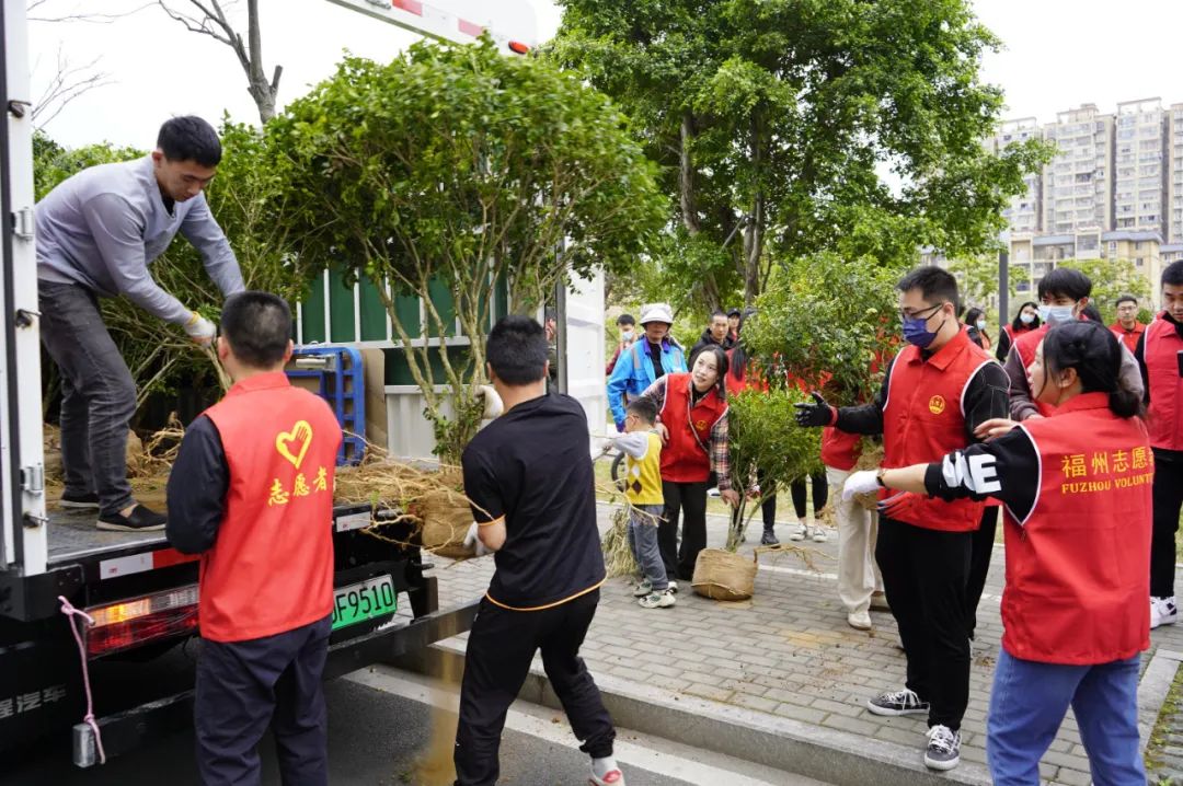 赞！爱心树苗扎根福州高新区