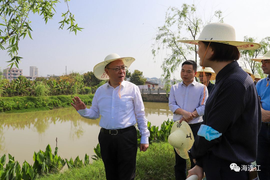 今天，县长率队赴东岱、浦口调研