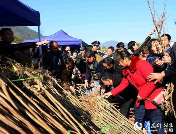 湖北省“三下乡”活动启动仪式在保康举行【6】