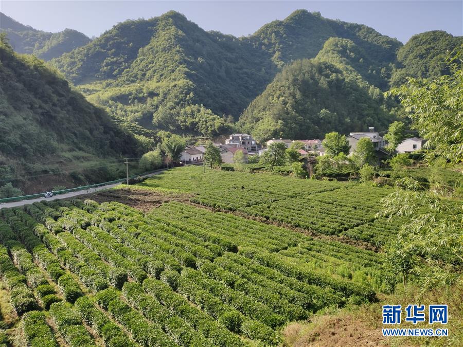 （图文互动）（1）汉江畔崛起生态城——来自南水北调中线核心水源地的调查报告