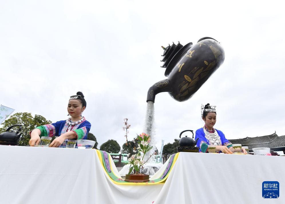 广西三江：侗乡早春茶开采