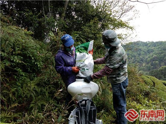 技术工人正往喷药机中填装苏云金杆菌药粉（摄影：刘宝进）.jpg