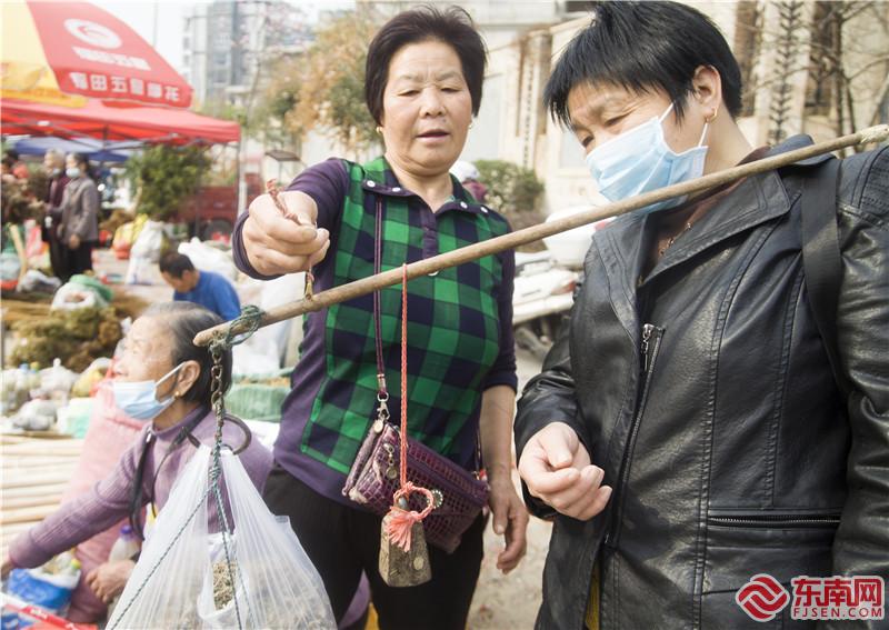 2月23日，将乐备耕圩上中草药摊点上的公平买卖。董观生摄.jpg