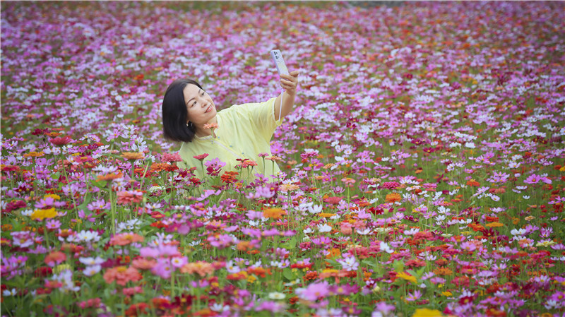 徜徉在花海 陈光铨 摄影.jpg