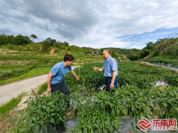 “兵支书”林佳山（右一）与农户交谈，大田县融媒体中心供图.png