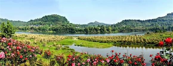 安居国家湿地公园  郭强摄