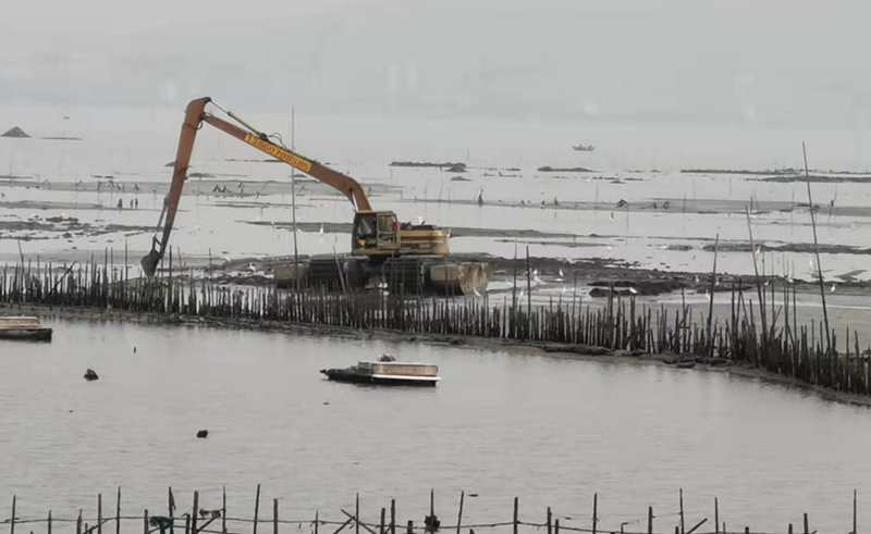 整治前，相关海域海面上布满竹蛎，影响城市景观.jpg